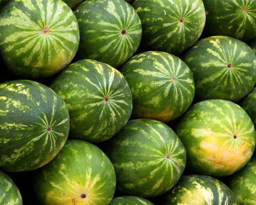 Watermelon