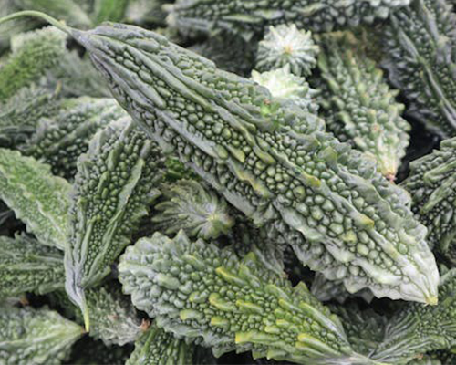 Bitter Gourd